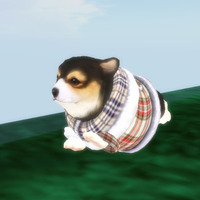 はなびがいない