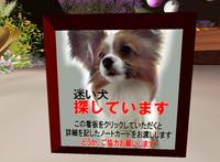 迷い犬“くらのすけ”くんを探せ！