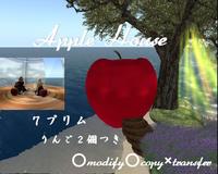 ぺんたの１日（羅漢フリマはじまったよ～）