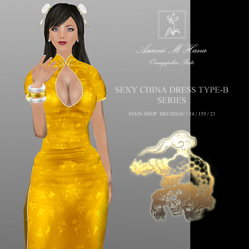 Sexy China Dress