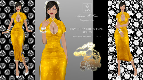 Sexy China Dress