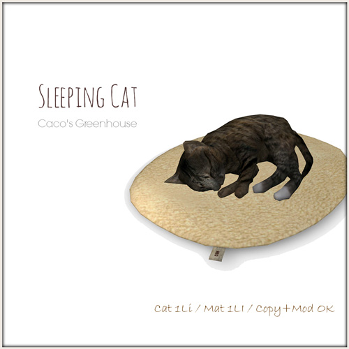 ねこたま、新発売