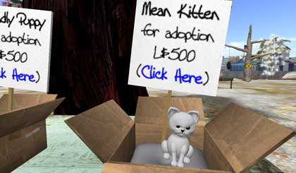 【犬】販売中!