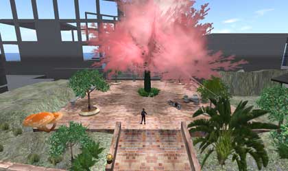 【Orange Forest Cherry Square】
