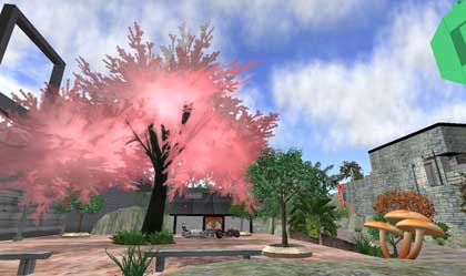 【Orange Forest Cherry Square】