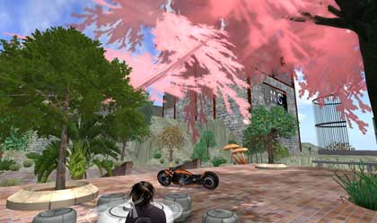 【Orange Forest Cherry Square】