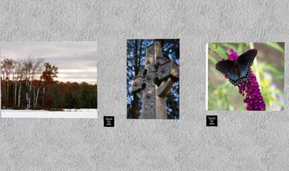 【RLSL芸術家・写真家】MuircastleGallery