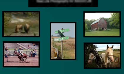 【Gallery】Photoprose