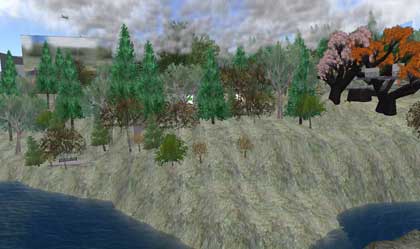 【寄付してください】RLサンフランシスコに木を植えます