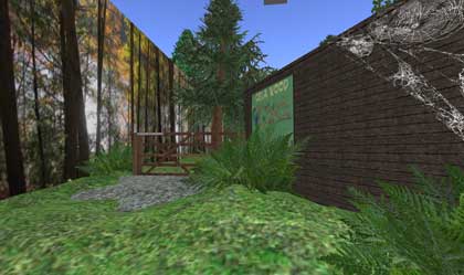 【Cela Wood】
