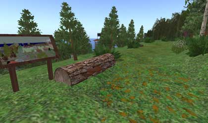 【Cela Wood】