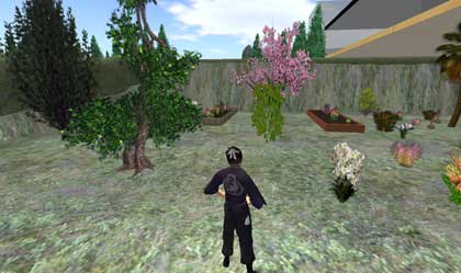 【The tree farm】