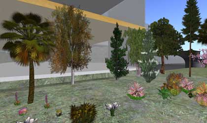 【The tree farm】