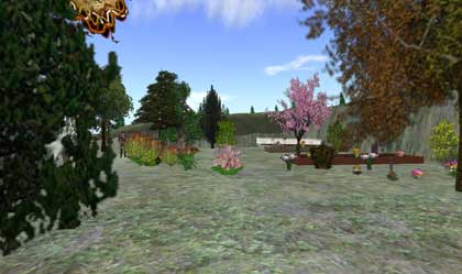 【The tree farm】