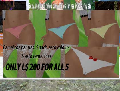 【フリー】脱ぎかけPanties