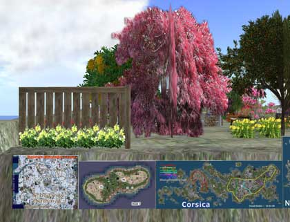 【地図・花】
