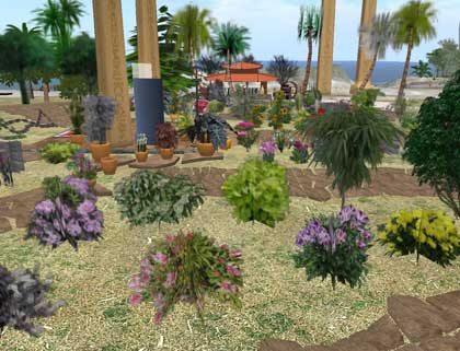【新店】スカルプ販売大型店:植物、木、花、盆栽、家具、その他