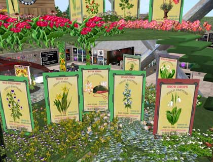 【樹上の植物(花)店】Botanica Outpost