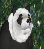 nufufu　Kirax