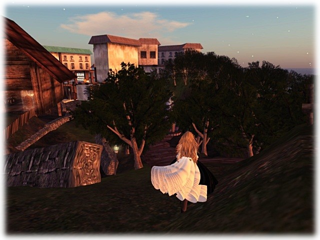 STRAY PIG Pig Hunt