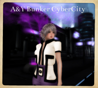 CyberCity