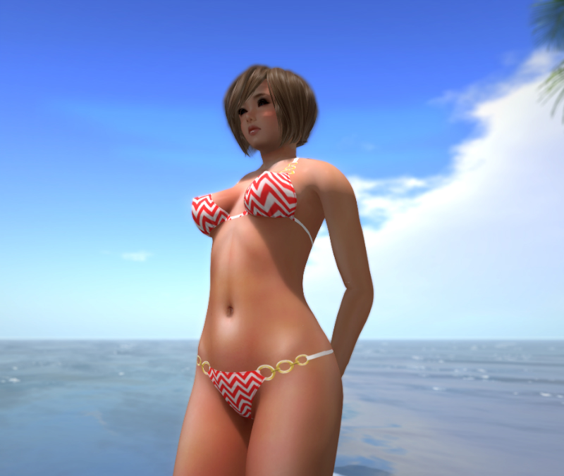 bikini for Mesh Body