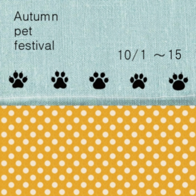 =Autumn Pet Festival=