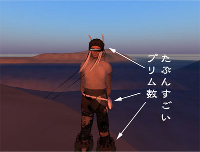 マイプライベートSIM