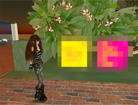 1st.RezDay