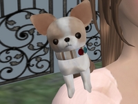 ◆ 可愛すぎてごめんね＞＜