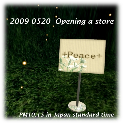 2009年5月20日 オープン