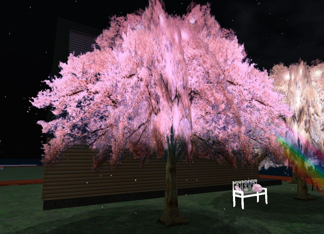 この桜、すごい！