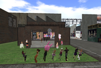 Cassis Rose　オープンにゃーー！