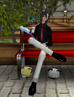 9SIMでお散歩