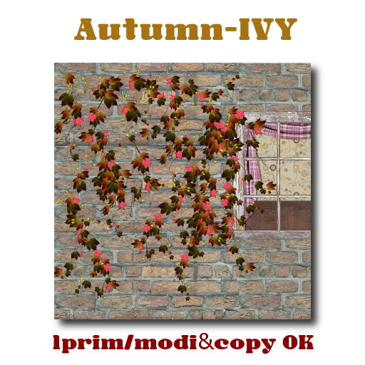 Autumn-IVY