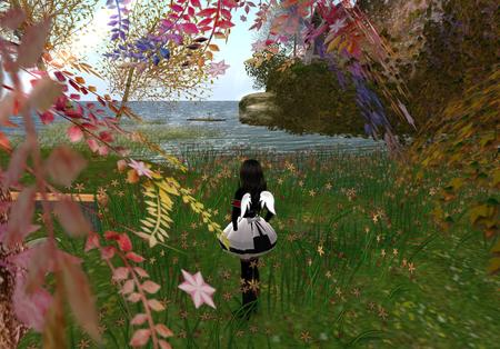 ** Winding Road **