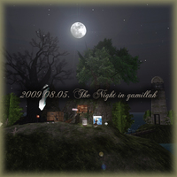 The Night in gamillah