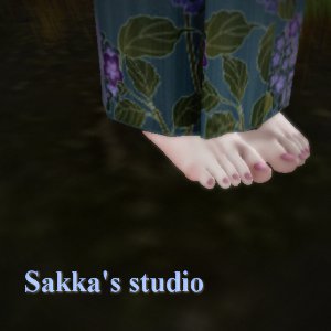 Sakkas studio 和 京都