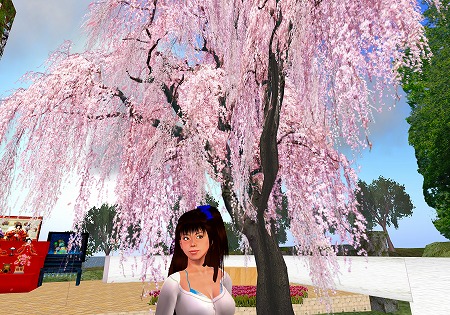 桜