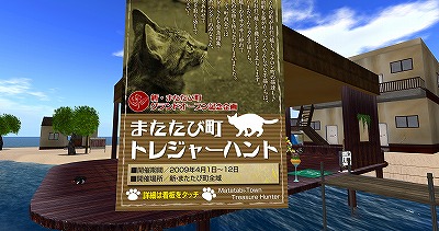 迷子の猫