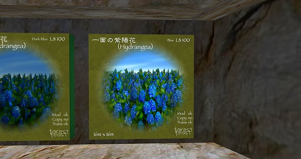 庭日記2