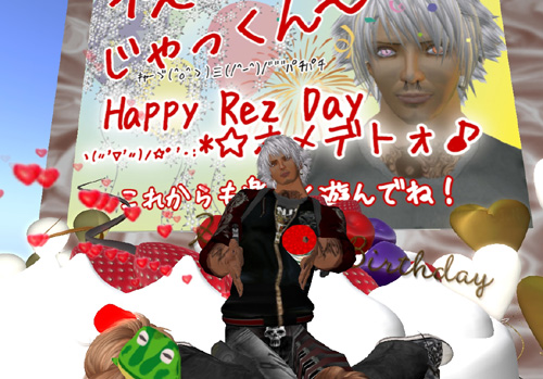 今日の主役は?