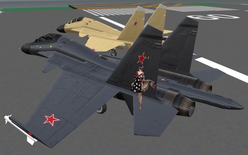 Su-30MK、Spiｊkersさんから頂きました＾＾