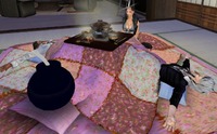 ◆ヾ(*ΦωΦ)ﾉ ﾜァァイ♪