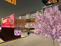 ぱっと一花？桜の下で高額！？キャンプ２