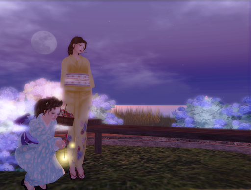 Night of summer