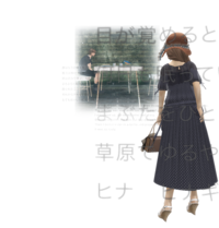 SLで本の世界へRLで遠くへ