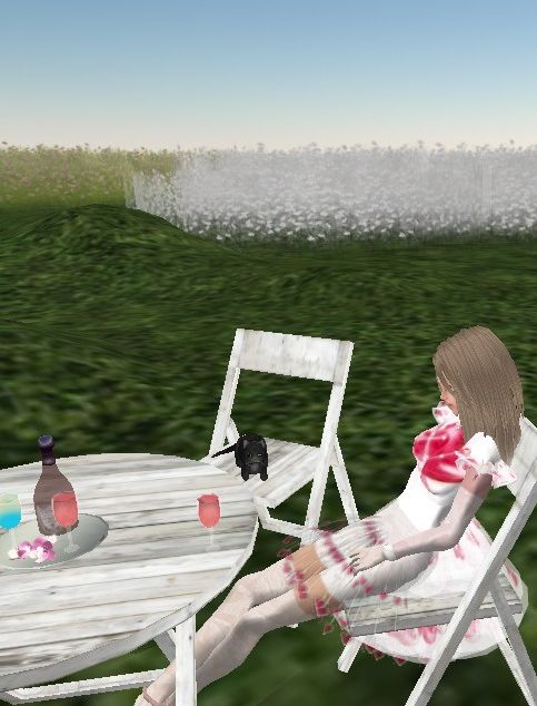 ピンクのコスモスお花畑とFREEシェイプ