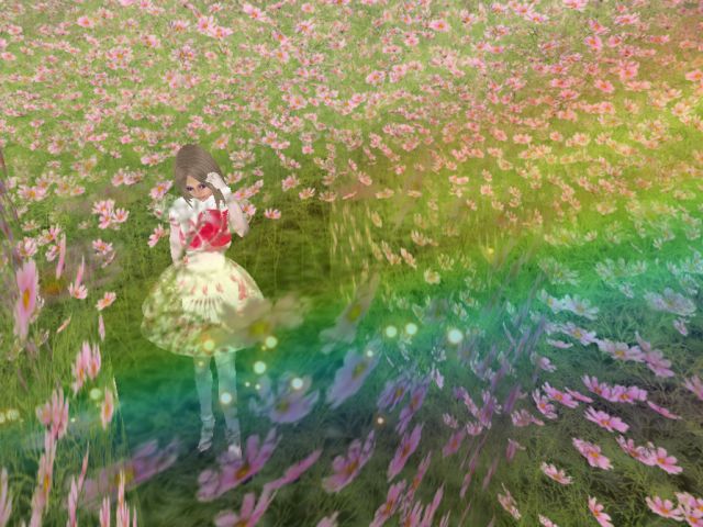 ピンクのコスモスお花畑とFREEシェイプ