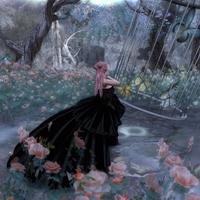 フリー!男女のスーツと黒い薔薇のドレスに鳥篭と美しい場所